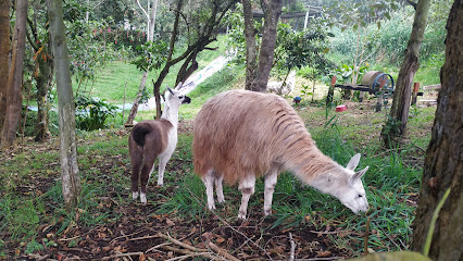 Parque Ozagua