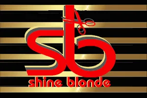 Shine Blonde Dadri image