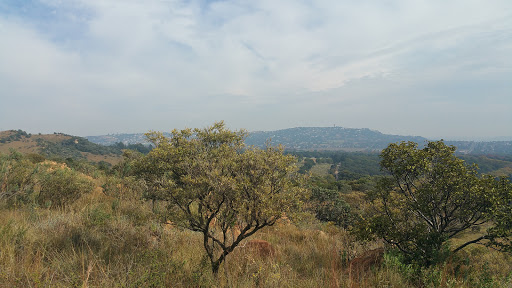 Melville Koppies Nature Reserve