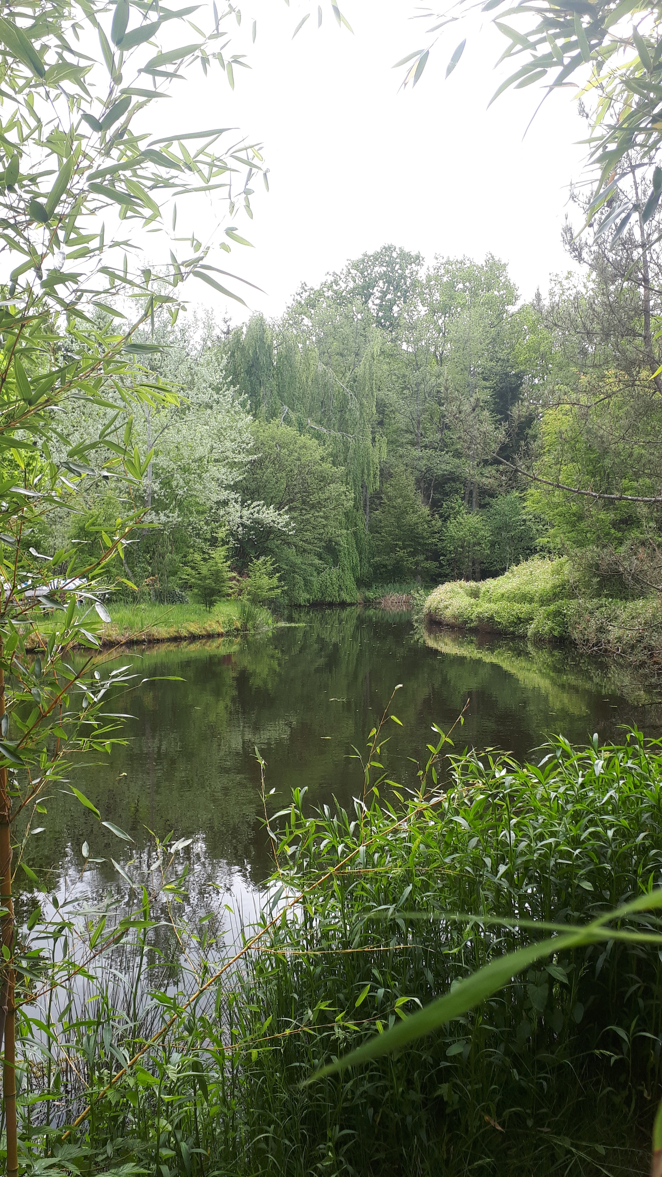 Photo n° 4 de l'avis de Christine.t fait le 25/05/2019 à 16:31