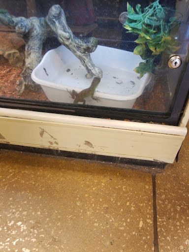 Pet Supply Store «PetSmart», reviews and photos, 11132 Abercorn St, Savannah, GA 31419, USA