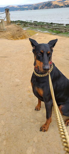 Pet Supply Store «Pet Food Express», reviews and photos, 838 Southampton Rd, Benicia, CA 94510, USA