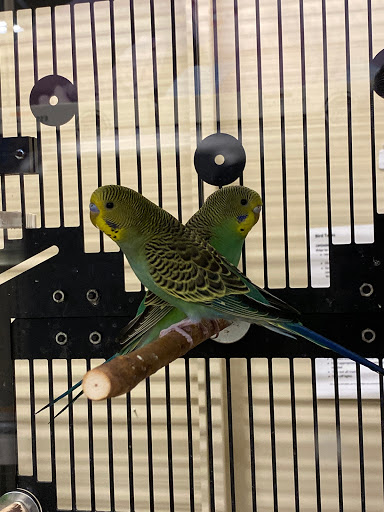 Pet Supply Store «PetSmart», reviews and photos, 11860 Spectrum Center, Reston, VA 20190, USA