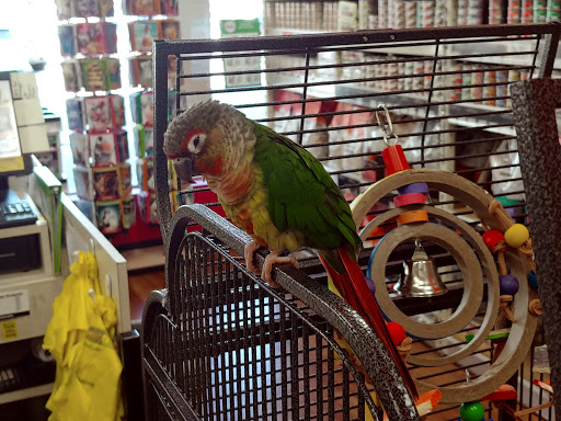 Pet Supply Store «Pet Supermarket, Inc.», reviews and photos, 18445 US-41, Lutz, FL 33549, USA