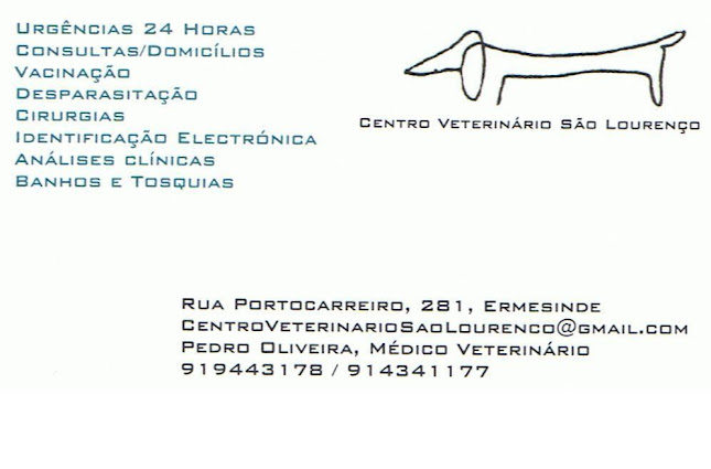 Centro Veterinário São Lourenço - Veterinário