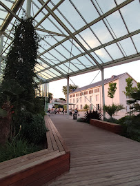 Jardin du Café L'îlot Sauvage à Niort - n°3