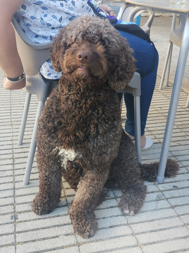 Huellas Clínica Veterinaria en Villanueva de la Serena