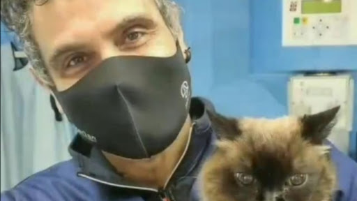 Clínica Veterinaria Yarza en Galdakao, Vizcaya