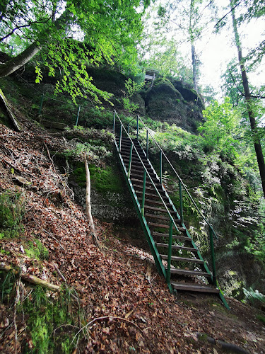 Sentier des Roches à Lutzelbourg