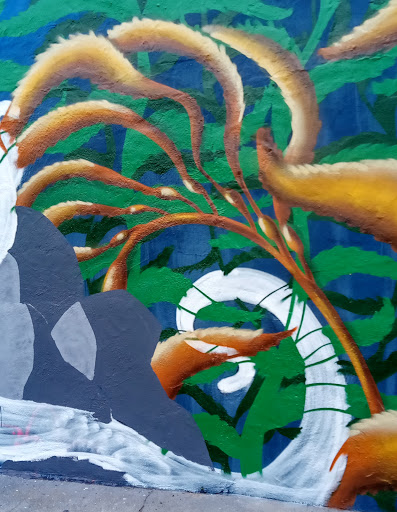 Supermarket «Live Oak Supermarket», reviews and photos, 1668 Capitola Rd, Santa Cruz, CA 95062, USA