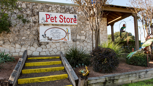 Dog shops in Austin