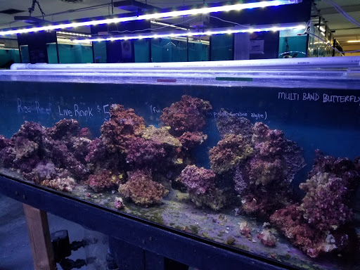 Tropical Fish Store «Exotic Aquarium», reviews and photos, 6643 Franklin Blvd, Sacramento, CA 95823, USA