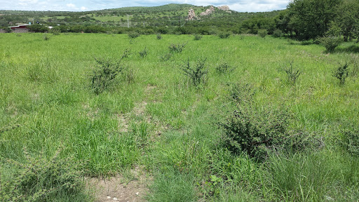 Flea Market «Montana Charlie’s», reviews and photos, 255 S Joliet Rd, Bolingbrook, IL 60440, USA