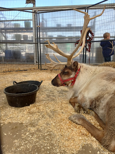 Garden Center «Bucks Country Gardens», reviews and photos, 1057 N Easton Rd, Doylestown, PA 18902, USA