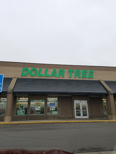 Dollar Store «Dollar Tree», reviews and photos, 2401 Fairview Ave N, Roseville, MN 55113, USA