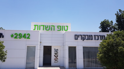 תמונה