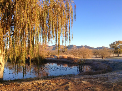 Golf Club «Turquoise Valley Golf», reviews and photos, 1794 W Newell St, Naco, AZ 85620, USA