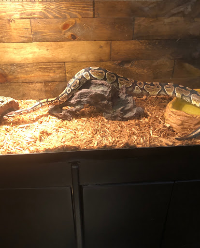 Pet Supply Store «Tropical World Pets», reviews and photos, 8444 Watson Rd, Webster Groves, MO 63119, USA