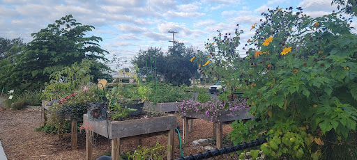 Recreation Center «Apollo Beach Recreation Center», reviews and photos, 664 Golf and Sea Blvd, Apollo Beach, FL 33572, USA