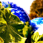 Photo n°4 de l'avis de Lars.h fait le 13/05/2022 à 09:56 sur le  Weinfurtner - DAS GLASDORF in Arnbruck im Bayerischen Wald à Arnbruck