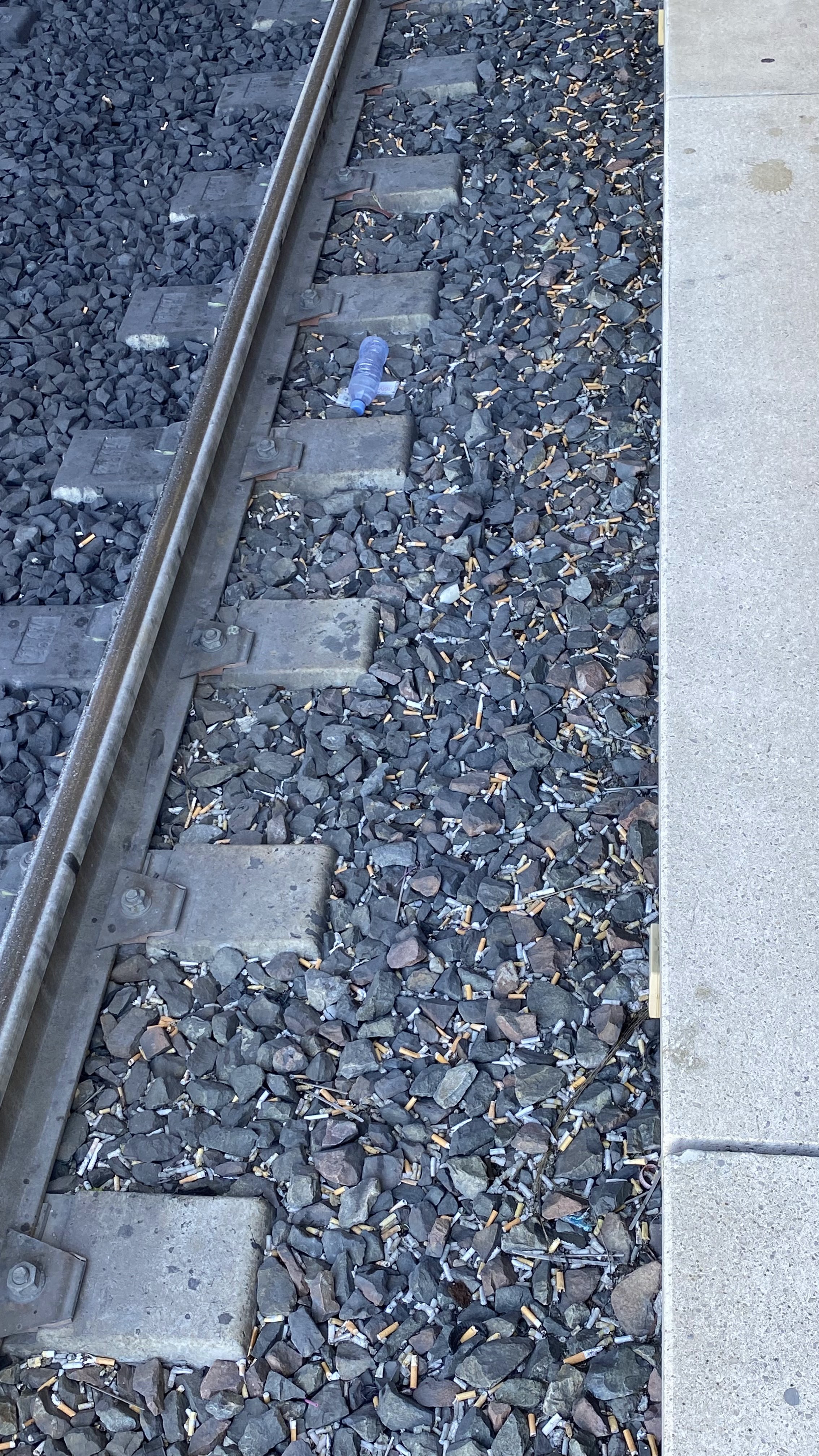 Photo n° 1 de l'avis de Pépé. fait le 26/09/2023 à 05:21