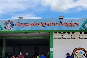 Cooperativa Agrícola Cabudare image