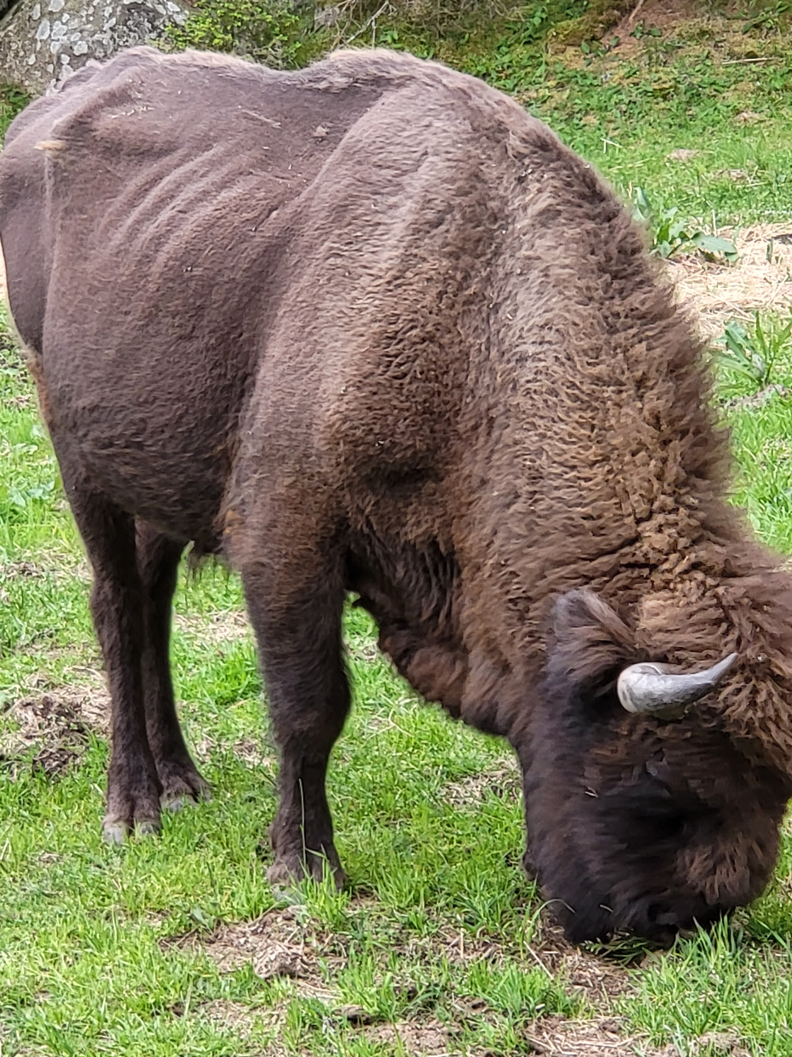 Photo n° 8 de l'avis de Joseph.e fait le 07/06/2023 à 21:11