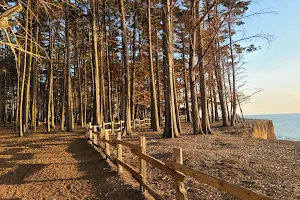 J V Fitzgerald Marine Reserve image