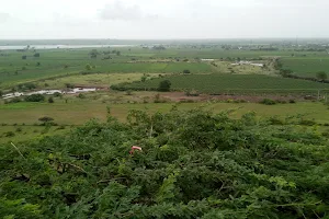 Analgadh Temple of Kalaka Mataji image