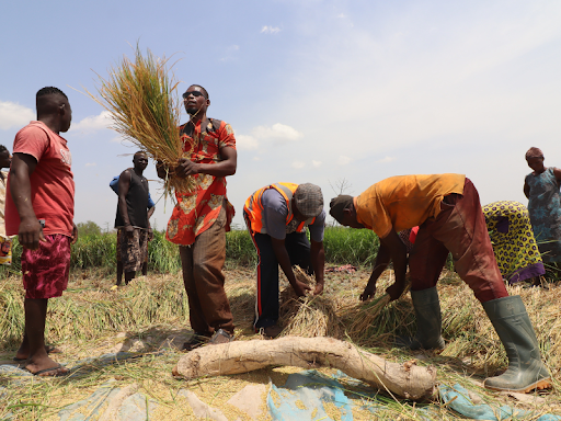 International Christian Concern