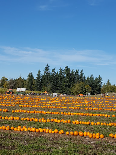 Amusement Center «Maris Farms», reviews and photos, 25001 Sumner Buckley Hwy, Buckley, WA 98321, USA