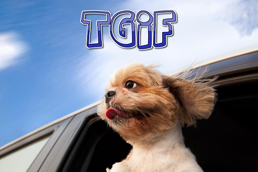 Auto Repair Shop «Progressive Automotive», reviews and photos, 11 Commerce Pkwy, Fredericksburg, VA 22406, USA