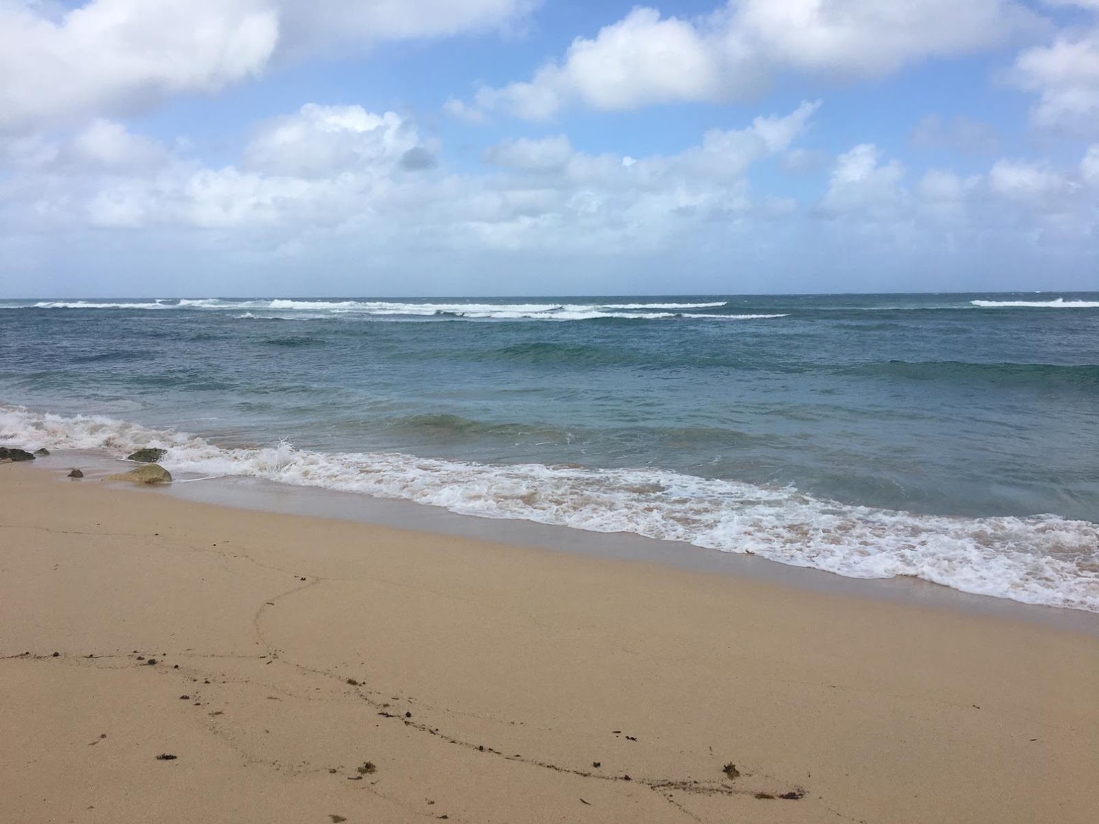 Foto de Playa Privada Caribe con cala pequeña