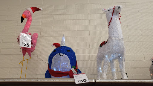 Discount Store «Big Lots», reviews and photos, 10603 E Apache Trail, Apache Junction, AZ 85120, USA