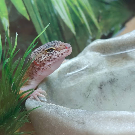 Pet Supply Store «PetSmart», reviews and photos, 1410 NE 23rd St, Pompano Beach, FL 33062, USA