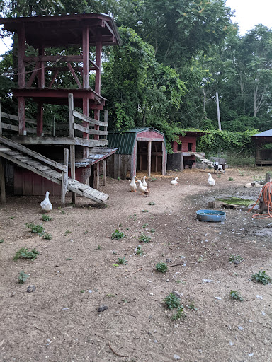 Hotel «Stagecoach Stop», reviews and photos, 7203 US-12, Onsted, MI 49265, USA