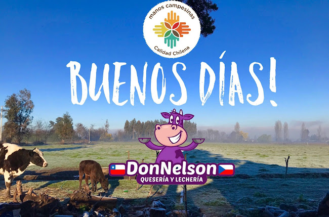 Queseria Artesanal Don Nelson - Heladería