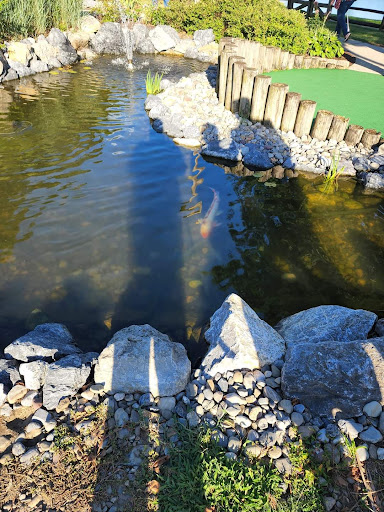 Golf Course «Waters Edge Mini Golf», reviews and photos, 230 N Ronks Rd, Bird in Hand, PA 17505, USA
