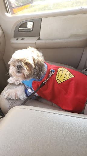 Pet Supply Store «PetSmart», reviews and photos, 1800 Evans Rd, Melbourne, FL 32904, USA