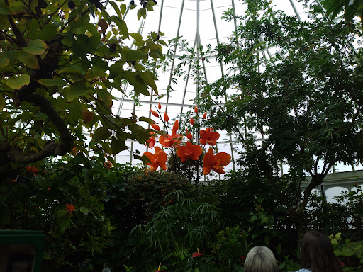 Modern Art Museum «The Andy Warhol Museum», reviews and photos, 117 Sandusky St, Pittsburgh, PA 15212, USA