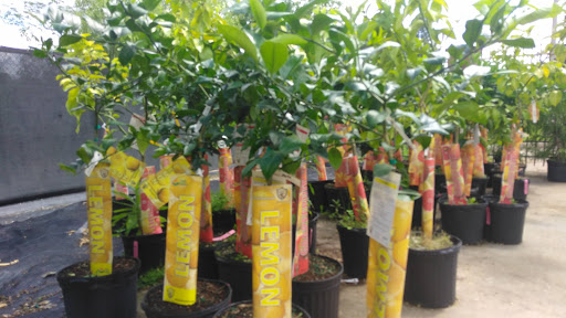 Hardware Store «Hagan Ace Hardware», reviews and photos, 6567 US-90, Glen St Mary, FL 32040, USA