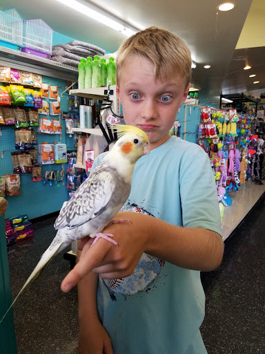 Pet Supply Store «City Pets & Ponds», reviews and photos, 4029 Mill St, Kansas City, MO 64111, USA