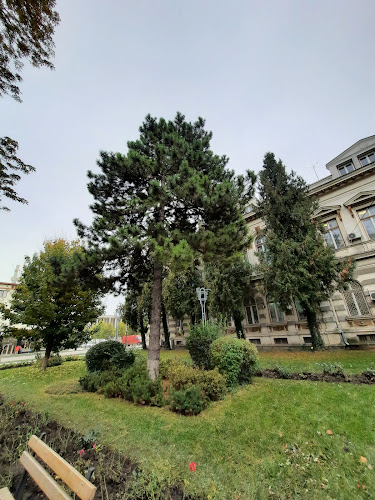Comentarii opinii despre Palatul Administrativ din Bacău