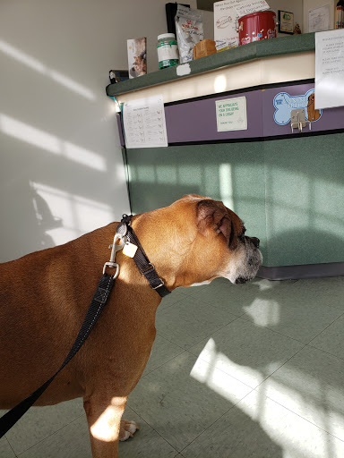 North Burnaby Pet Hospital Ltd image