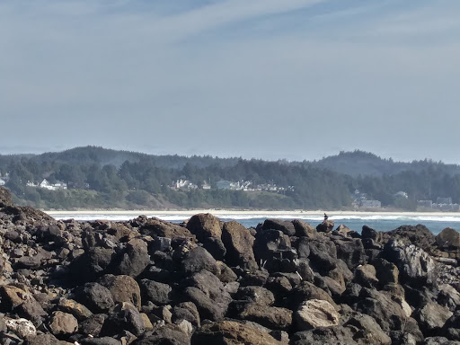 Golf Course «Agate Beach Golf Course», reviews and photos, 4100 N Coast Hwy, Newport, OR 97365, USA