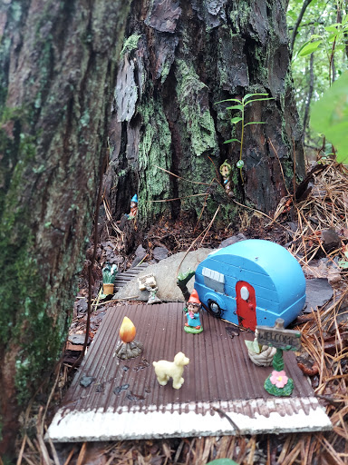 Nature Preserve «Black Run Preserve», reviews and photos, Kettle Run Rd, Evesham Township, NJ 08053, USA