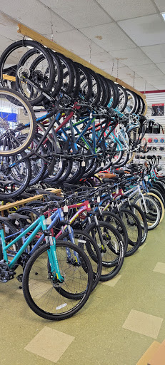 Bicycle Store «Lees Bicycle Shop», reviews and photos, 1101 US-1, Hollywood, FL 33020, USA