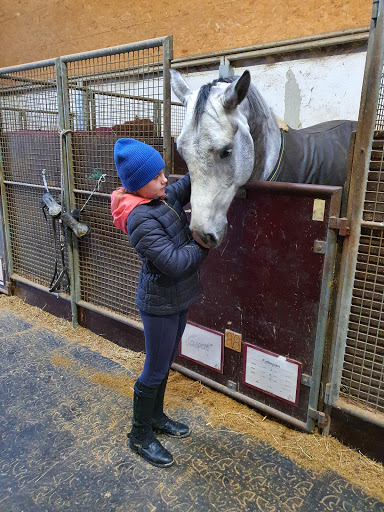 Horse riding lessons Munich