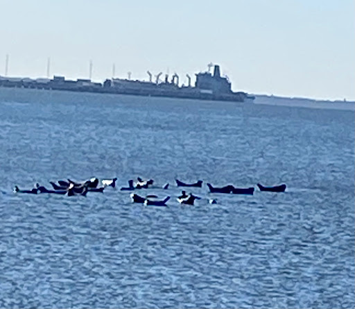 Campground «Camp Gateway - Sandy Hook», reviews and photos, 26 Hudson Rd, Highlands, NJ 07732, USA