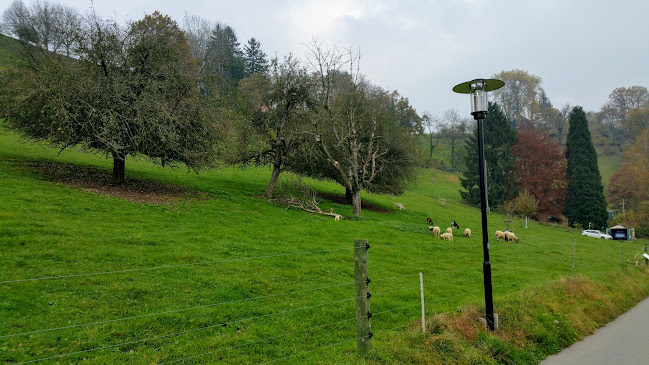 Mooshof Lenzburg - Biobauernhof - Bioladen